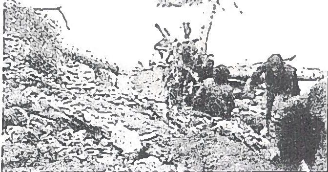 Page 33 de l'album : autre vue des cabanes, sans légende propre.