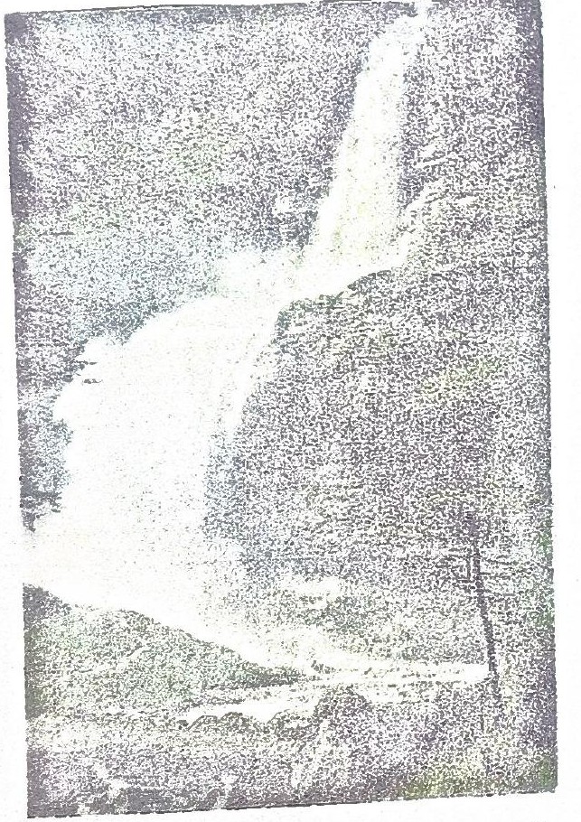 Page 60 de l'album : la cascade du Rouget, « la Reine des Alpes ».