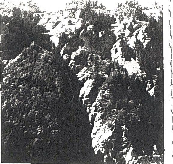 Page 52 de l'album : en direction du chalet-hôtel du Buet.