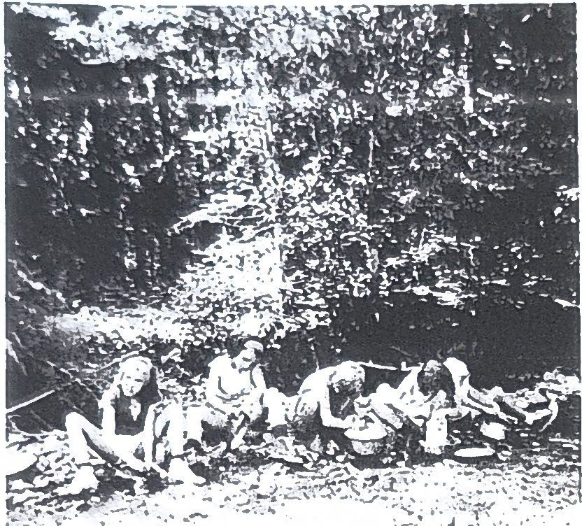 Page 47 de l'album, 1964 : repas au bord de l'eau, en forêt.