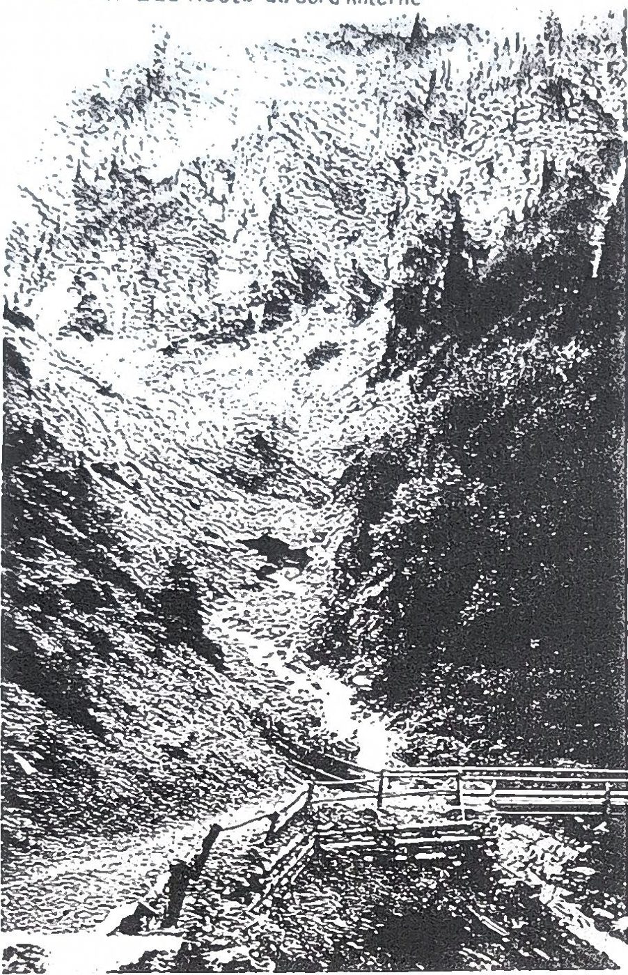 Page 53 de l'album : carte postale « Sixt – La route du col d'Anterne ».