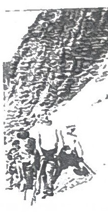 Page 56 de l'album : petite scène de montagne collée à côté du portrait du Chef « Tonnerre » ; l'album ne la légende pas.