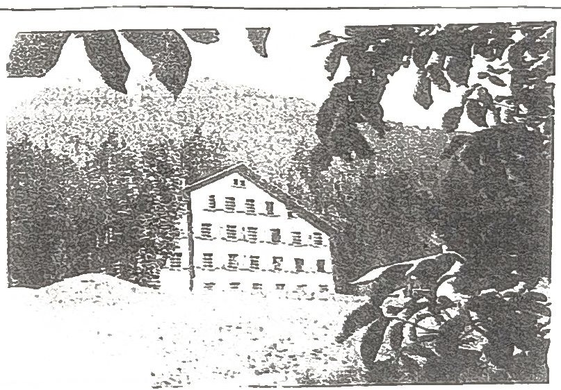 Le chalet de la colonie, photographié sur la page qui raconte les légions et les dortoirs ; cette photographie ne porte pas de légende.