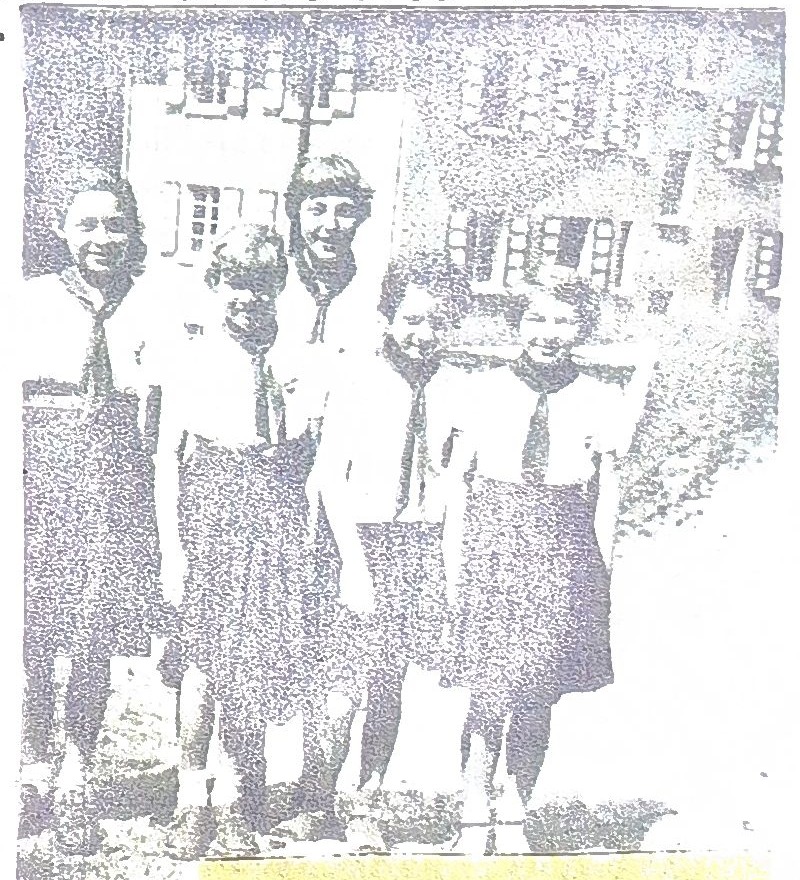 Page 41 de l'album : groupe de colonnettes devant le chalet ; l'album ne les nomme pas.